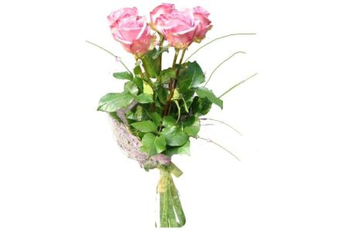 Букет из 5 розовых роз с лентой, 40 см, Эквадор